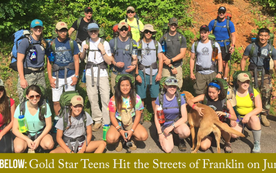 Gold Star Teens Hit the Streets of Franklin on June 19