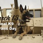 March 13 Celebrates National K9 Veterans Day